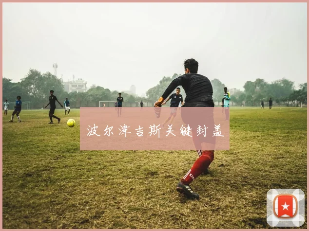 波尔津吉斯关键封盖