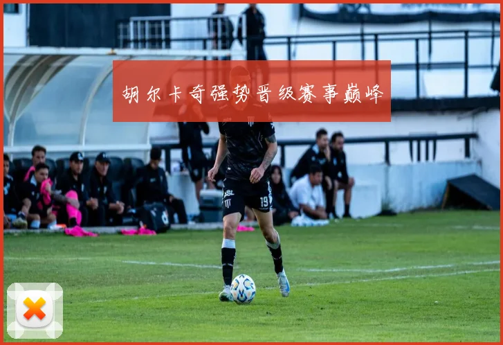 胡尔卡奇强势晋级赛事巅峰
