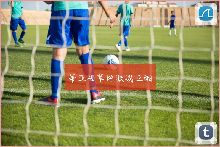 蒂亚福草地激战正酣