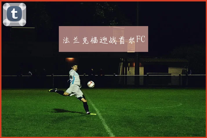 法兰克福迎战首尔FC