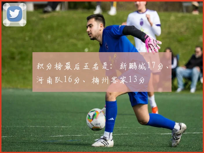 积分榜最后五名是：新鹏城17分、河南队16分、梅州客家13分