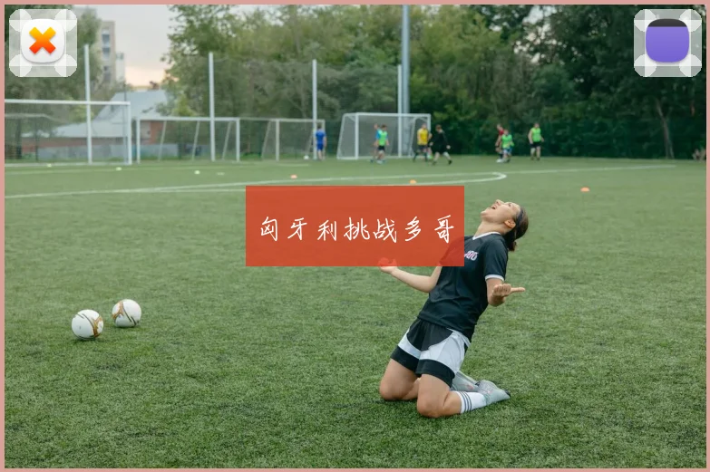 匈牙利挑战多哥