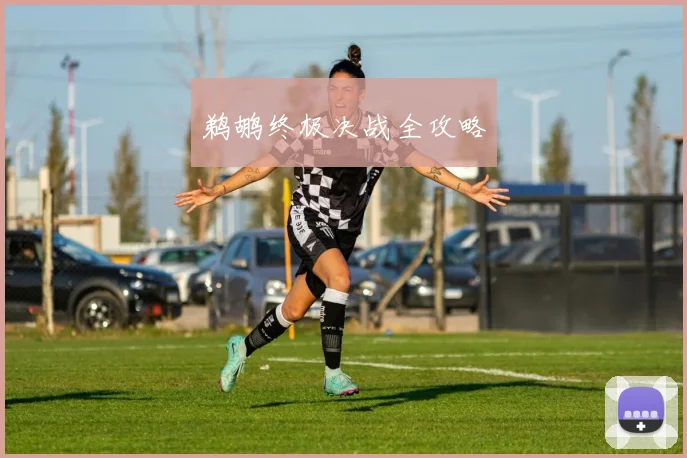 鹈鹕终极决战全攻略
