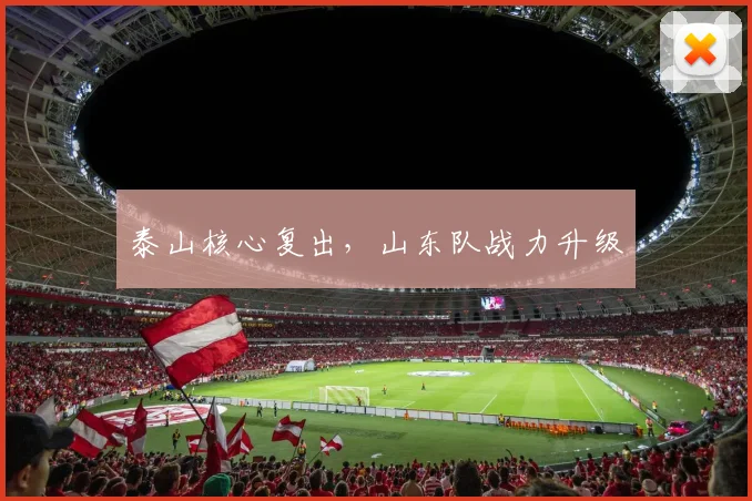 泰山核心复出，山东队战力升级