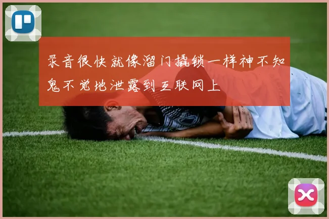 录音很快就像溜门撬锁一样神不知鬼不觉地泄露到互联网上