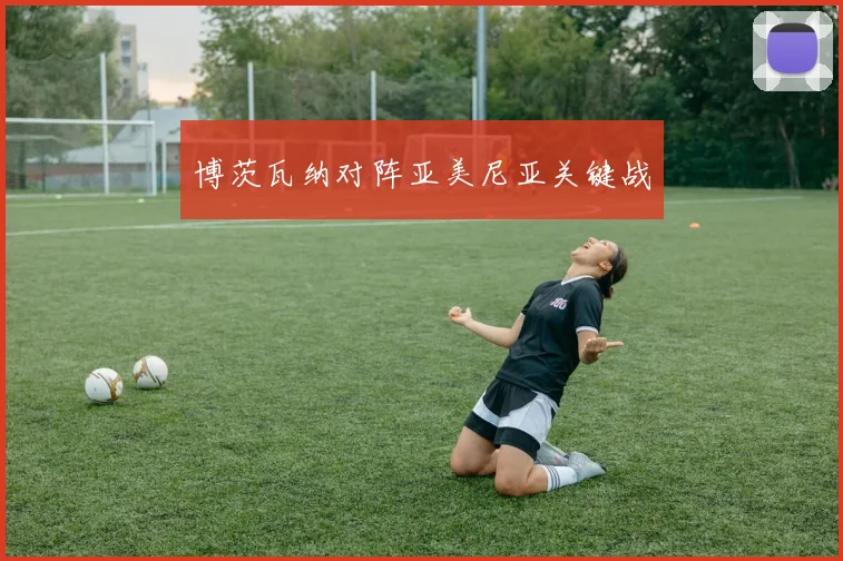 博茨瓦纳对阵亚美尼亚关键战
