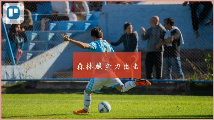 森林狼全力出击