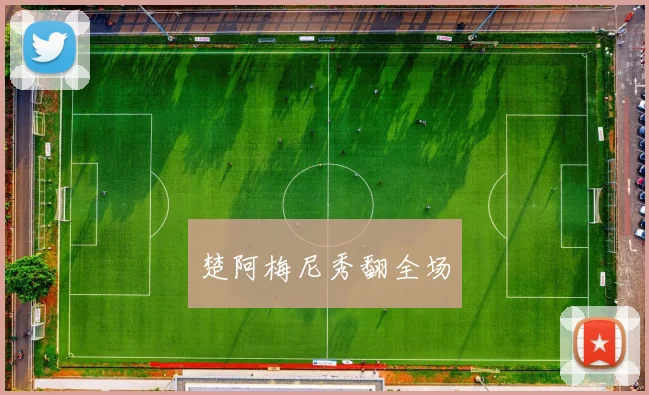 楚阿梅尼秀翻全场