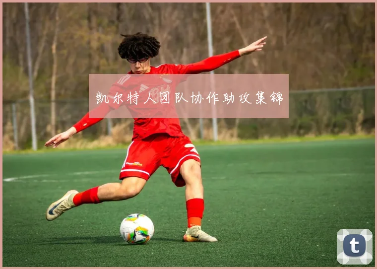 凯尔特人团队协作助攻集锦