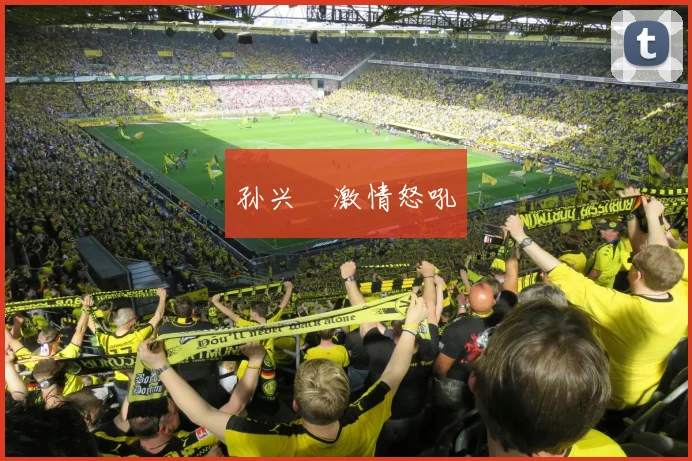 孙兴慜激情怒吼