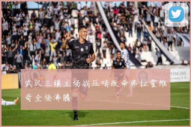 武汉三镇主场战压哨改命弗拉霍维奇全场沸腾