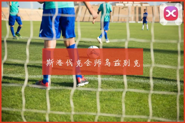 斯洛伐克会师乌兹别克