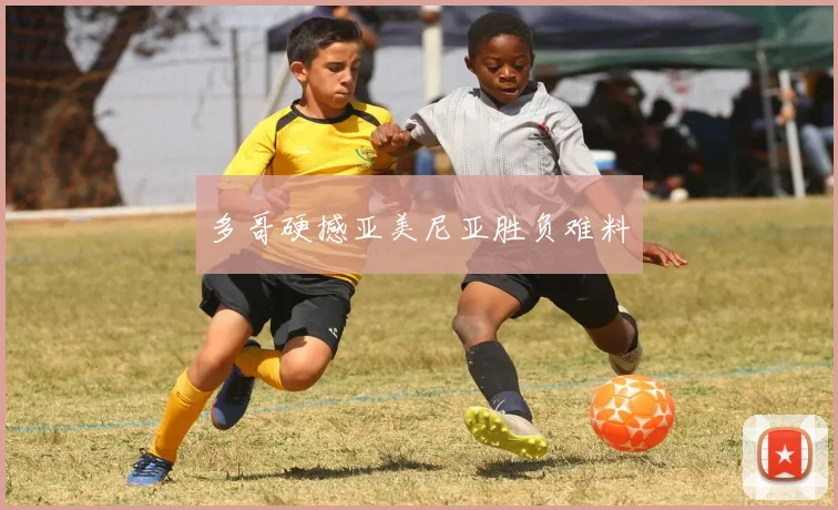 多哥硬撼亚美尼亚胜负难料