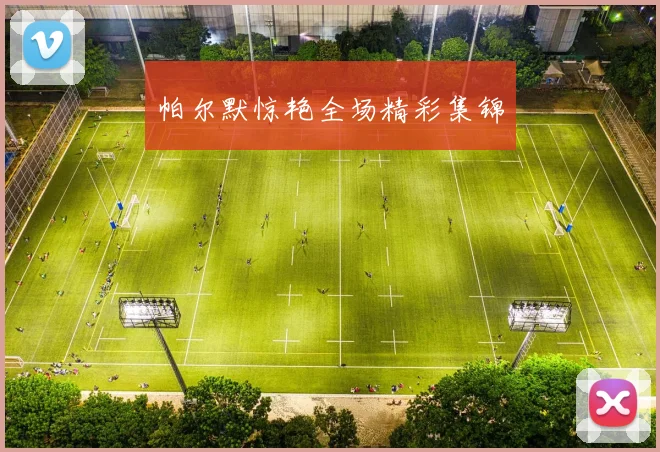 帕尔默惊艳全场精彩集锦