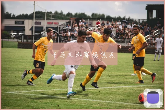 卡马文加赛场焦点