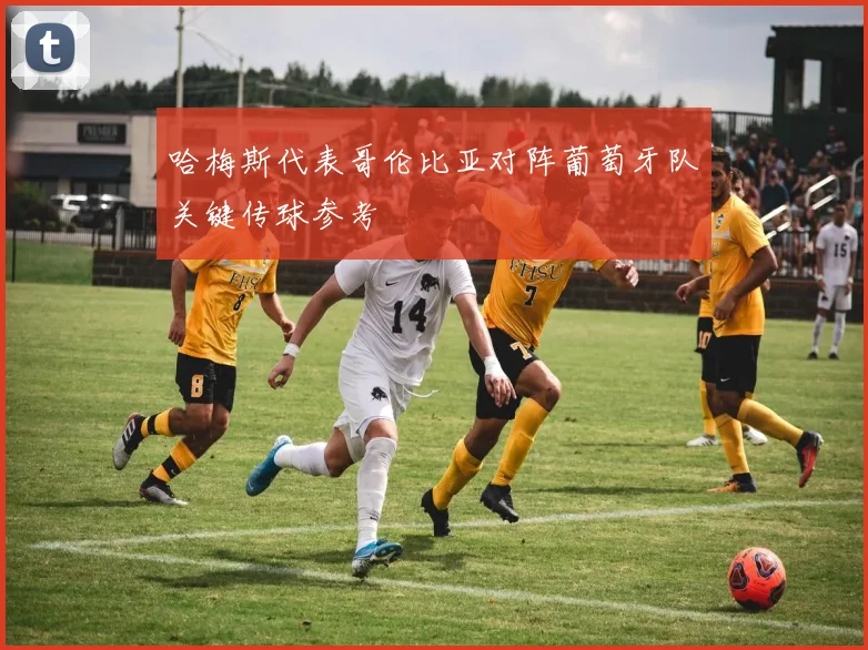 哈梅斯代表哥伦比亚对阵葡萄牙队关键传球参考
